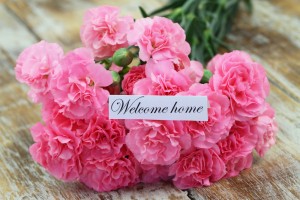 welcome home roses